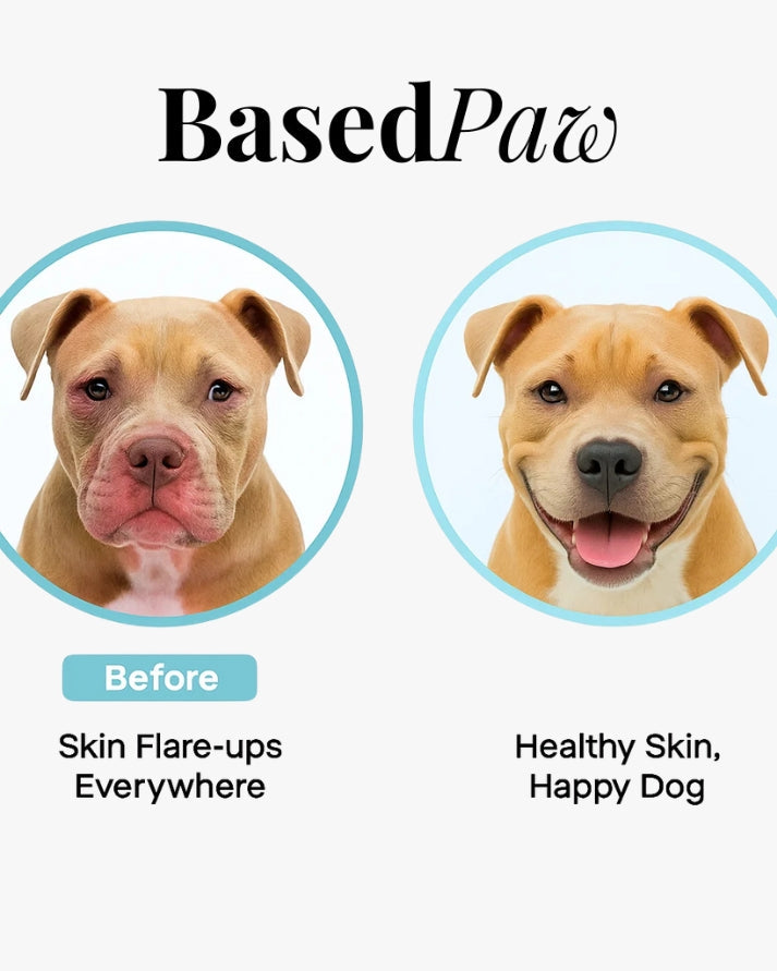 Pet Cleaning Gloves